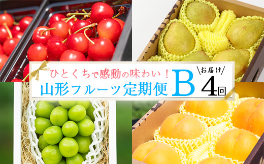 《先行予約》特秀品Bコース【定期便4回】フルーツ定期便 さくらんぼ 紅秀峰 黄桃  シャインマスカット 洋梨 ラネージュ 令和8年産 山形県産【2026年6月中旬頃から発送開始予定】※配送不可 沖縄・離島　078-B-AF029 Bコース