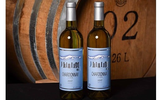 《山形県産ぶどう100％》月山山麓 シャルドネヴィンテージ 白ワイン 辛口 （720ml×2本）　018-E-CK011