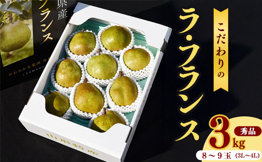 《先行予約》 令和8年産 洋梨 「ラ・フランス」3kg （8玉 - 9玉）秀品 《化粧箱入り》 3L - 4L  農家直送 山形県産【2026年11月頃から12月上旬頃発送予定】　012-B-HK001 3kg（8玉～9玉） 秀品 3L～4L 《化粧箱入》