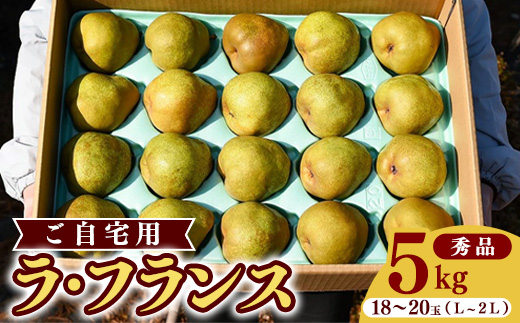 《先行予約》令和8年産 洋梨 ラ・フランス 5kg（18玉 - 20玉）《ご自宅用》 L - 2L 山形県産 【2026年11月頃から12月上旬頃発送予定】　012-B-HK002 《ご自宅用》 5kg（18玉 - 20玉） 秀品 L - 2L