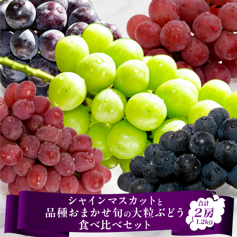 【先行予約】令和8年産 シャインマスカット と 品種おまかせ ぶどう 食べ比べセット 計1.2kg以上（2房） 2026年産 山形県産 【2026年9月上旬頃～10月中旬頃発送予定】※配送不可 沖縄・離島　016-B-HK028