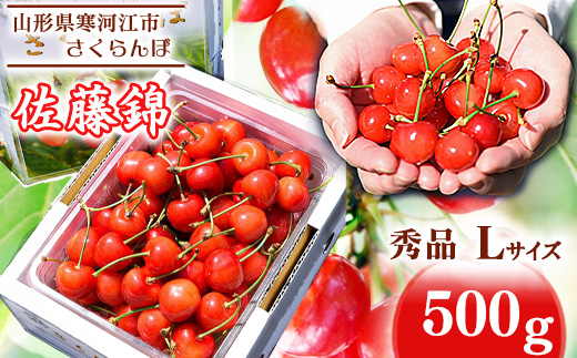 【先行予約】令和8年産 さくらんぼ 「佐藤錦」 500g（500g×1パック） 秀品 Lサイズ以上 2026年産 山形県産 【2026年6月上旬頃～下旬頃発送予定】※ 配送不可 沖縄・離島　020-A-HK015 500g（500g×1パック）