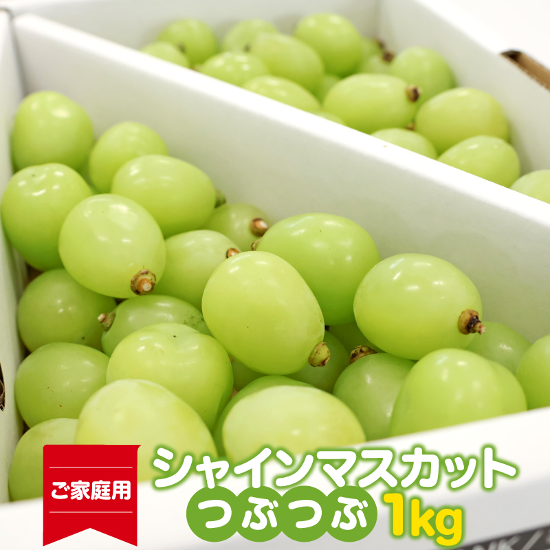 【先行予約】《ご家庭用》令和8年産 訳ありシャインマスカット つぶつぶ 1kg 山形県産 2026年産 【2026年9月上旬頃～10月中旬頃発送予定】※配送不可 沖縄・離島　014-B-HK026