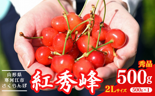 【先行予約】令和8年産 さくらんぼ 「紅秀峰」2Lサイズ以上 秀品 500g 2026年産 山形県産【2026年6月中旬頃～7月上旬頃発送予定】※ 配送不可 沖縄・離島　021-A-HK029 500g