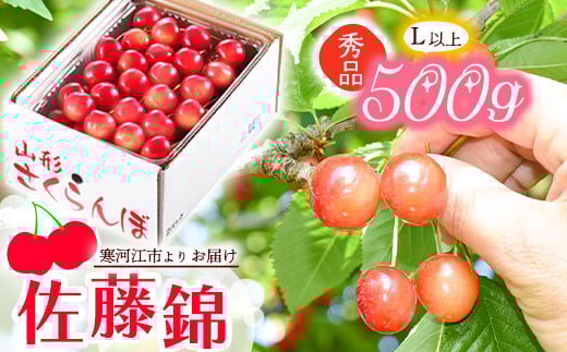 《先行予約》 令和8年産 山形の さくらんぼ  「 佐藤錦 」 500g 秀品 L以上 山形県産 2026年産【2026年6月上旬頃～6月下旬頃発送予定】 ※配送不可 沖縄・離島 021-A-JA043 500g