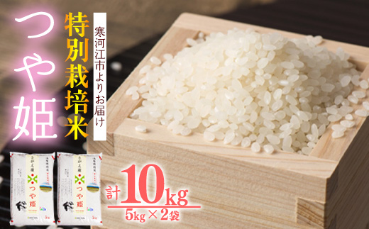 【特別栽培米】新米 山形県産 つや姫 10kg（5kg×2袋） 令和7年産 ／ 2025年産 白米 精米 お米 米 小分け ブランド米 ごはん 東北 国産 10キロ 山形県寒河江市　036-C-JA023-00 10kg（5kg×2袋）