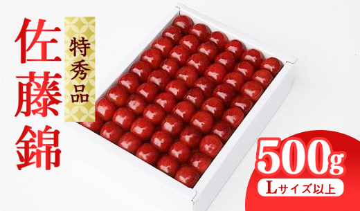 《先行予約》 令和8年産 【厳選】 さくらんぼ 「 佐藤錦 」 500g 特秀品 L以上 化粧詰 2026年産 山形県産 【2026年6月上旬頃～6月下旬頃発送予定】 ※配送不可 沖縄・離島 039-A-JA045