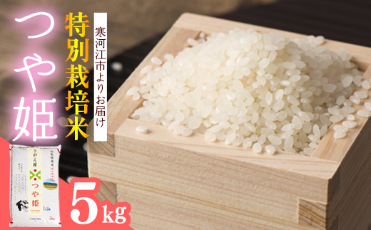【特別栽培米】新米 山形県産 つや姫 5kg 令和7年産 ／ 2025年産 白米 精米 お米 米 小分け ブランド米 ごはん 東北 国産 5キロ 山形県寒河江市　018-C-JA032-00 5kg
