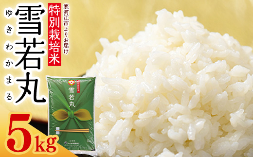 【特別栽培米】 新米 山形県産 雪若丸 5kg 令和7年産【2025年11月より順次配送】 ／ 2025年産 白米 精米 お米 米 小分け ブランド米 ごはん 東北 国産 5キロ 山形県寒河江市　0175-C-JA041 5kg