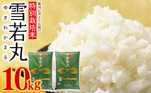 【特別栽培米】 新米 山形県産 雪若丸 10kg（5kg×2袋）令和7年産【2025年11月より順次配送】 ／ 2025年産 白米 精米 お米 米 小分け ブランド米 ごはん 東北 国産 10キロ 山形県寒河江市　0350-C-JA042 10kg（5kg×2袋）