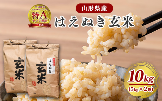 《先行予約》【令和8年産】はえぬき 玄米 10kg（5kg×2袋）2026年産 山形県産　【2026年9月下旬頃より発送予定】　024-C-JF006-R8 令和8年産