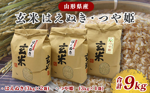 玄米食べ比べ セット 「つや姫 3kg×1・はえぬき 3kg×2」2025年産 (令和7年産)【2025年10月頃より発送予定】　026-C-JF008