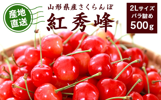 【先行予約】令和8年産 山形県産 こだわり農家の新鮮 さくらんぼ 500g 2Lサイズ 秀品「紅秀峰」 生産者直送 【2026年6月中旬頃から6月下旬頃】※ 配送不可 沖縄・離島　020-A-JF022