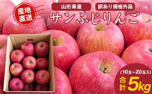 《 ご家庭用 》 サンふじ りんご 5kg 山形県産 (約10玉～20玉) 2025年産 令和7年産 【2025年11月下旬頃より順次発送予定】（フードロス対応・食品ロス・SDGs・生産者支援）　013-B-JF029