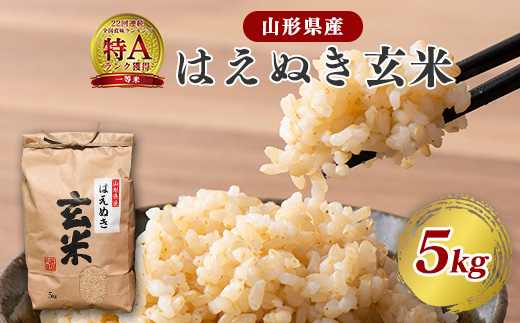 《先行予約》【令和8年産】はえぬき 玄米 5kg（5kg×1袋）2026年産 山形県産　【2026年9月下旬頃より発送予定】　012-C-JF039-R8 令和8年産