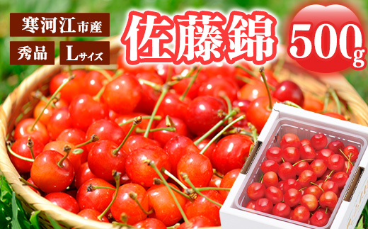 《先行予約》 令和8年産 さくらんぼ  「佐藤錦」 秀品 500g Lサイズ 山形県産 2026年産 【2026年6月上旬頃～下旬頃発送予定】 ※配送不可 沖縄・離島 018-A-MM075 500g