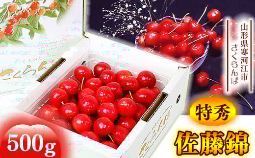 《先行予約》 令和8年産 さくらんぼ 「 佐藤錦 」特秀品 500g Lサイズ 山形県産 2026年産 【2026年6月上旬頃から6月下旬頃発送予定】 ※配送不可 沖縄・離島 022-A-MM005