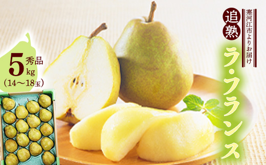 洋梨 「追熟 ラ・フランス」 5kg（14 - 18玉） 秀品 山形セレクション認定品 山形産 【2025年10月末頃から2026年1月頃発送予定】　018-B-MM026 5kg（14 - 18玉）