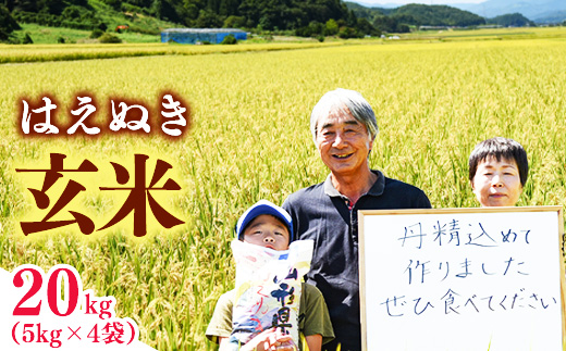 玄米 山形県産 はえぬき 20kg（5kg×4袋） 2025年産 令和7年産 20キロ 山形県寒河江市　072-C-MM048 20kg