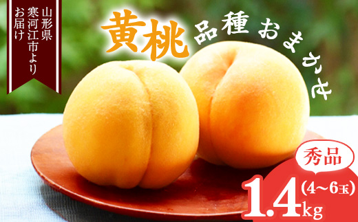 《先行予約》令和8年産 山形の黄桃 秀品 1.4kg（4 - 6玉） 品種おまかせ 2026年産 山形県産 【2026年8月中旬頃から9月下旬頃発送予定】※ 配送不可 沖縄・離島　011-B-MM071 1.4kg（4 - 6玉）
