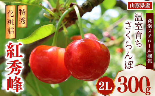 《先行予約》令和8年産 温室育ち さくらんぼ 紅秀峰 2L 特秀品 300g 化粧詰（発泡スチロール梱包）山形県産 【2026年4月下旬頃～5月中旬頃発送予定】 ※配送不可 沖縄・離島　038-A-MZ006 紅秀峰