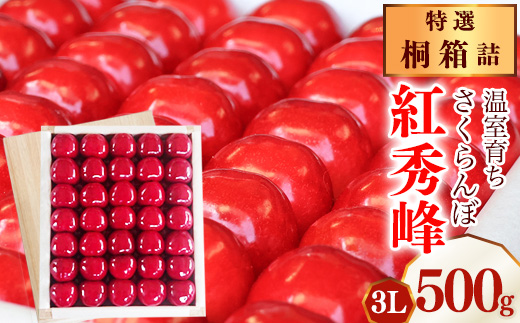 《先行予約》令和8年産 特選 温室育ち さくらんぼ 紅秀峰 3L 特秀品 500g 桐箱詰（発泡スチロール梱包）2026産 山形県産【2026年5月上旬頃～5月中旬頃発送予定】※ 配送不可 沖縄・離島　520-A-MZ008 特選　紅秀峰