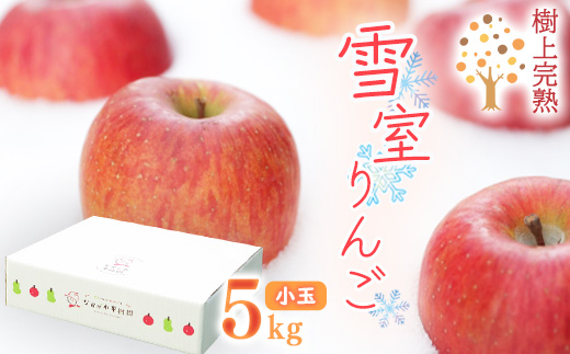 雪室りんご 5kg「樹上完熟 ふじりんご」 小玉サイズ 山形産 【2026年1月中旬頃～3月頃 発送予定】 2025年産 令和7年産 山形県　020-B-NG002 雪室りんご 5kg