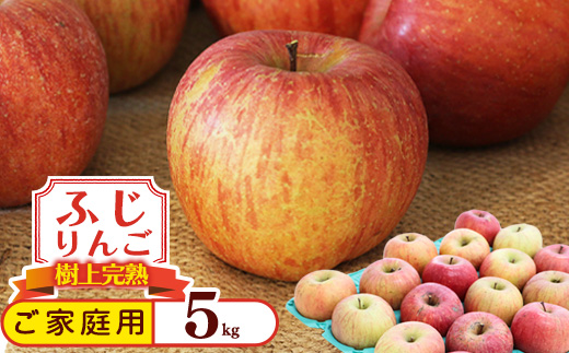 《訳あり》ご家庭用 ふじりんご 5kg 山形県産 2025年産 令和7年産 【2025年12月頃より順次発送予定】（フードロス対応・食品ロス・規格外・SDGs・生産者支援）　010-B-NG009 5kg