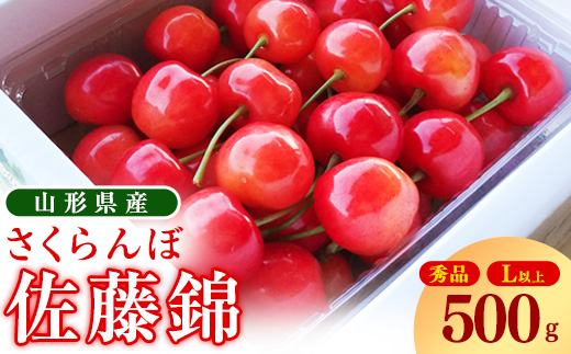 【先行予約】令和8年産 さくらんぼ 「 佐藤錦 」500g 秀品 Lサイズ以上 2026年産 山形県産【2026年6月上旬頃～下旬頃発送予定】 ※ 配送不可 沖縄・離島　015-A-OT007 500g