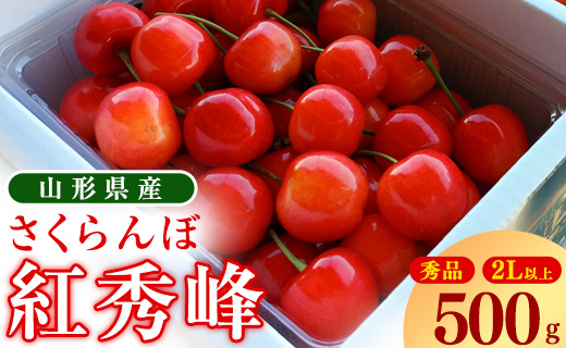 【先行予約】令和8年産 さくらんぼ 「 紅秀峰 」500g 秀品 2Lサイズ以上 2026年産 山形県産 【2026年6月中旬頃～7月上旬頃発送予定】※配送不可 沖縄・離島　017-A-OT008 500g