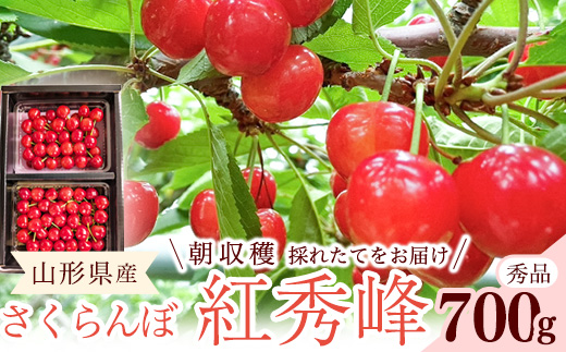 【先行予約】令和8年産 さくらんぼ 紅秀峰 Lサイズ以上 秀品 700g （350g×2パック） 2026産 山形県産 【2026年6月中旬頃～7月中旬頃発送予定】※配送不可 沖縄・離島　024-A-RF001