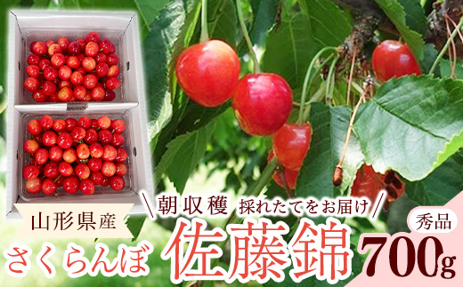 【先行予約】 令和8年産 さくらんぼ 佐藤錦 Lサイズ以上 秀品 700g （350g×2パック） 2026年産 山形県産【2026年6月上旬頃～6月下旬頃発送予定】※配送不可 沖縄・離島　022-A-RF003