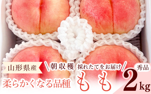 先行予約 令和8年産 山形の桃 やわらかくなる白桃 秀品 2kg 品種おまかせ 2026年産 山形県産【2026年8月上旬頃～9月下旬頃発送予定】※配送不可 沖縄・離島　010-B-RF005