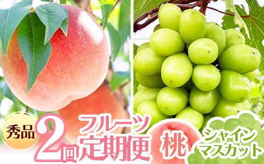 【先行予約】令和8年産 フルーツ 2回 定期便 桃 シャインマスカット 秀品 山形県産 【2026年8月上旬頃から発送開始予定】※配送不可 沖縄・離島　020-B-RF008 2回定期便