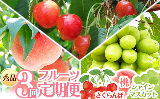 【先行予約】令和8年産 フルーツ 3回 定期便 さくらんぼ（佐藤錦） 桃 シャインマスカット 秀品 山形県産【2026年6月上旬頃から発送開始予定】※配送不可 沖縄・離島　048-B-RF009 3回定期便