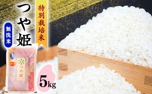 【2026年1月発送】無洗米 「つや姫」 5kg 《特別栽培米》令和7年産 2025年産 ／ 人気 小分け 便利 節水 ブランド米 ごはん お米 ご飯 農家直送 生産者直送 山形産 山形県産 山形県 寒河江市 5キロ　019-C-SR003-202601 2026年1月配送