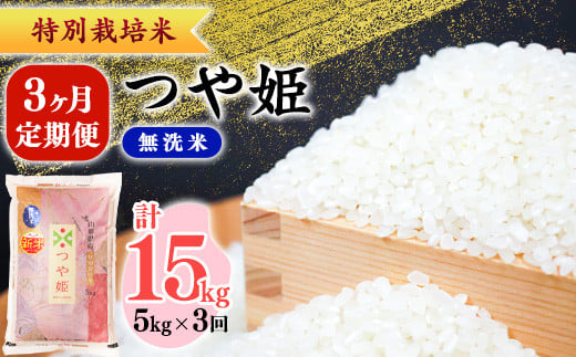 ＜2026年2月から4月コース＞【令和7年産】【無洗米】つや姫 3ヶ月定期便 合計15kg（5kg×3回）特別栽培米 【毎月前半（1日頃から15日頃）発送】山形産 山形県産 《2025年産》　0475-C-SR004-202602前-04前 2025年2月より毎月3回