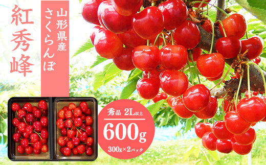 【先行予約】さくらんぼ 「紅秀峰」2Lサイズ以上 秀品 600g（300g×2） 化粧箱入り 2026年産 令和8年産 山形県産 【2026年6月中旬頃～7月上旬頃発送予定】 ※配送不可 沖縄・離島 024-A-SW001