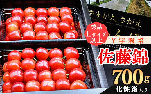 《先行予約！》令和8年産 さくらんぼ《こだわりのY字仕立て栽培》「佐藤錦」700g 秀品 Lサイズ以上 化粧箱入り 2026年産 山形県産 【2026年6月上旬頃～下旬頃発送予定】※配送不可 沖縄・離島　024-A-YJ001 佐藤錦