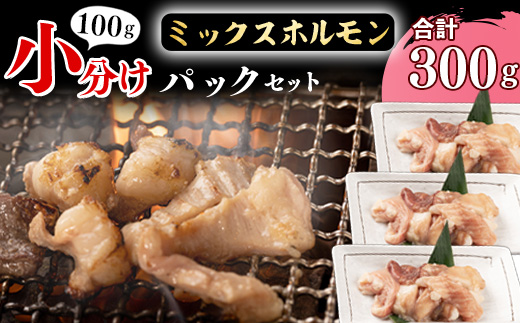 【45営業日以内配送】《 お試しにちょうどいい》焼肉店でも人気の国産牛ホルモンMIXが100g×3パック！　006-D-YL001 300g（100g×3パック）