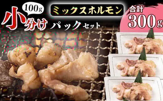 【45営業日以内配送】《 お試しにちょうどいい》焼肉店でも人気の国産牛ホルモンMIXが100g×3パック！　006-D-YL001 300g（100g×3パック）