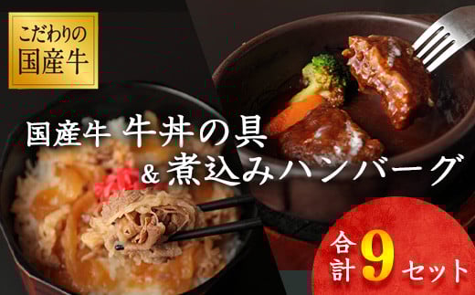 【45営業日以内配送】国産牛 牛丼の具&煮込みハンバーグ 満足の9個セット 《こだわりソースと玉ねぎが旨い簡単惣菜》 湯煎で温めるだけ　014-D-YL008