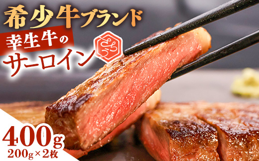 【45営業日以内配送】幸せを運ぶ牛《幸生牛》希少牛 サーロインステーキ 400g（200g×2枚） 025-D-YL038