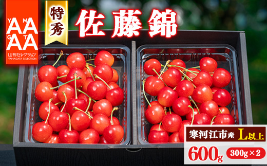 【先行予約】令和8年産 特秀品 さくらんぼ「 佐藤錦 」600g (300g×2パック) Lサイズ以上 2026年産 山形県産 【2026年6月上旬頃～下旬頃発送予定】 ※配送不可 沖縄・離島 026-A-AF002