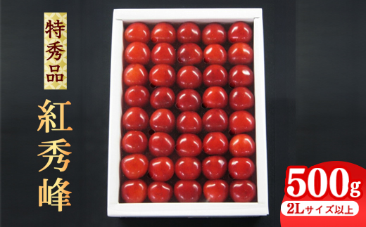 《先行予約》 令和8年産 【厳選】 さくらんぼ 「 紅秀峰 」 500g 特秀品 2L以上 化粧詰 山形県産 2026年産 【2026年6月中旬頃～7月上旬頃発送予定】 ※配送不可 沖縄・離島 041-A-JA026
