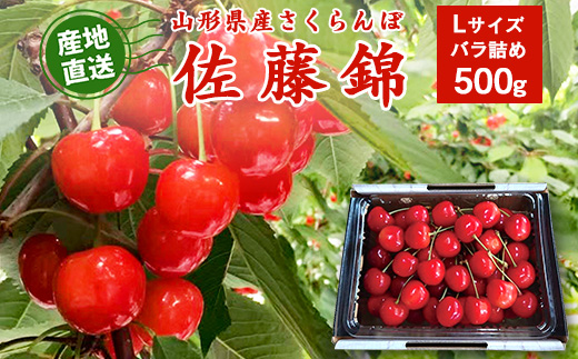 【先行予約】令和8年産 山形県産 こだわり農家の新鮮 さくらんぼ 500g Lサイズ 秀品「佐藤錦」 生産者直送 【2026年5月下旬頃から6月中旬頃発送予定】※ 配送不可 沖縄・離島　 015-A-JF031