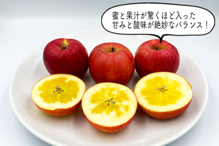 【2025年10月～11月発送分先行受付】山形のりんご（高徳）約3kg_H140(R7)