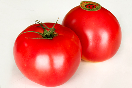 【2025年5月～10月発送分先行受付】長井が誇る桃太郎系ブランドトマト「寺泉トマト」約4kg(2kg×2箱)_H101(R7)