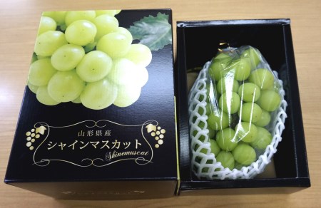【2025年9月～10月発送分先行受付】「秀品」山形のぶどう（シャインマスカット）700g以上×1房_H064(R7)