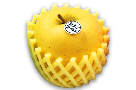 【2025年11月発送分先行受付】山形のりんご（シナノゴールド）約5kg_H120(R7)